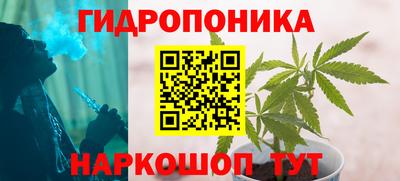 a pvp Свободный
