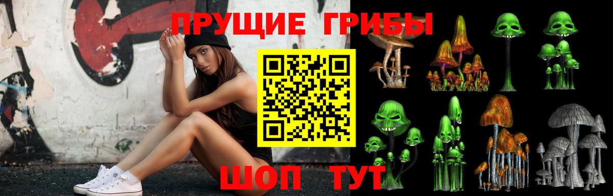 Псилоцибиновые грибы Psilocybine cubensis  Вход с VPN  Отрадный 